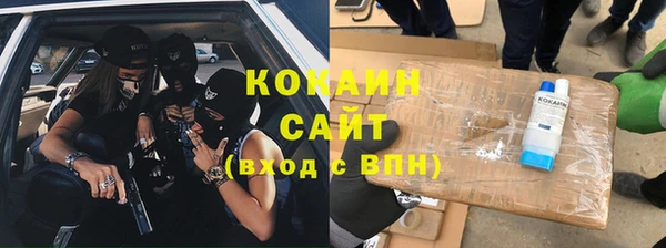 дмт Мегион