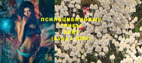 jwh Магас