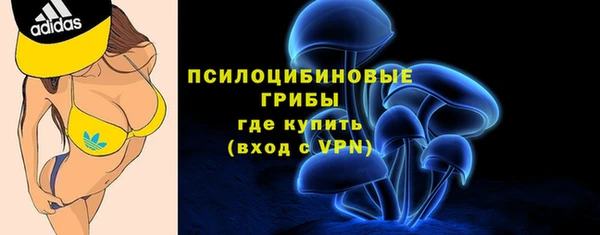 дмт Мегион