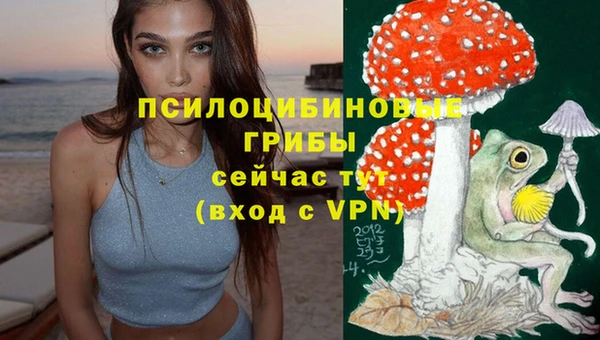 амф Медвежьегорск