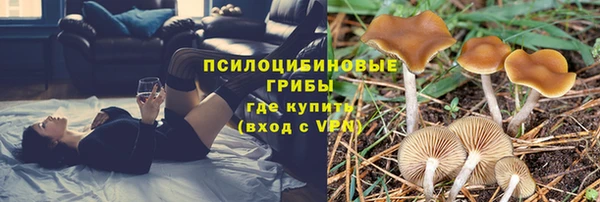 марки nbome Медногорск