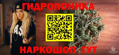 гидра Краснознаменск