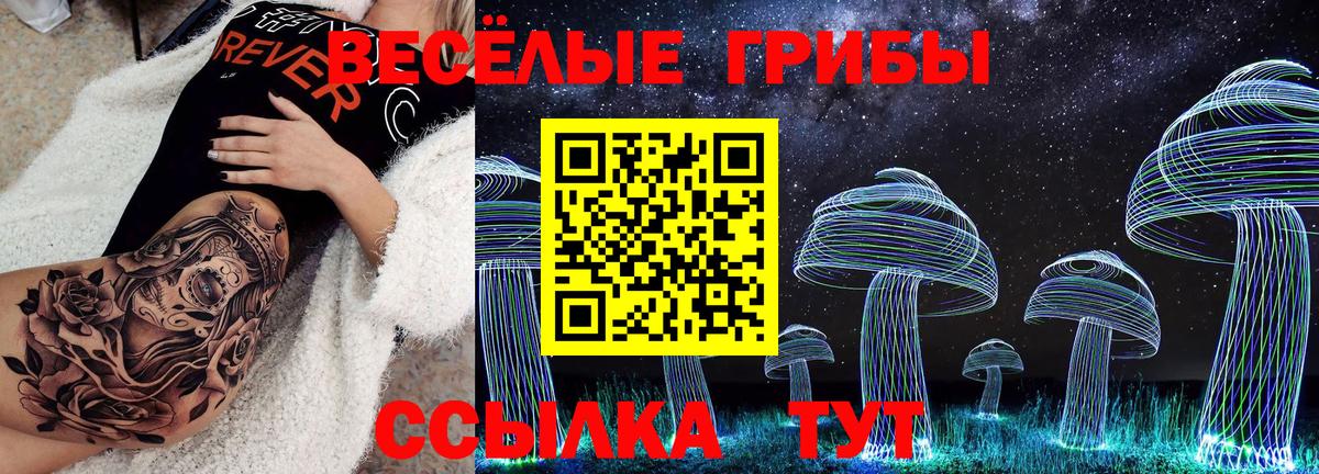 Галлюциногенные грибы Psilocybe Сочи